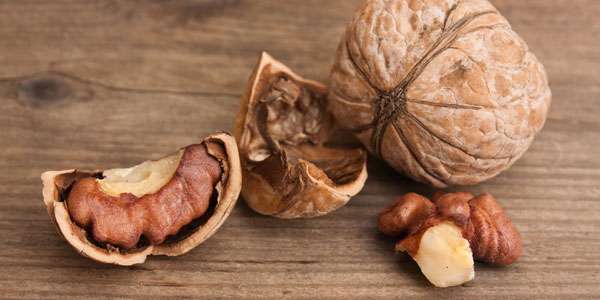 Kratzer im Parkett – 6 Tipps zur Nach- und Vorsorge