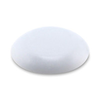 CARLOTTA-25 CARLOTTA-25